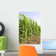 Corn Wall Mural