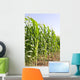 Corn Wall Mural