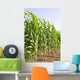 Corn Wall Mural