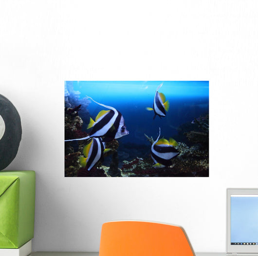 Group Fishes