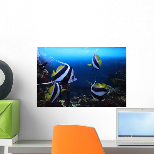 Group Fishes