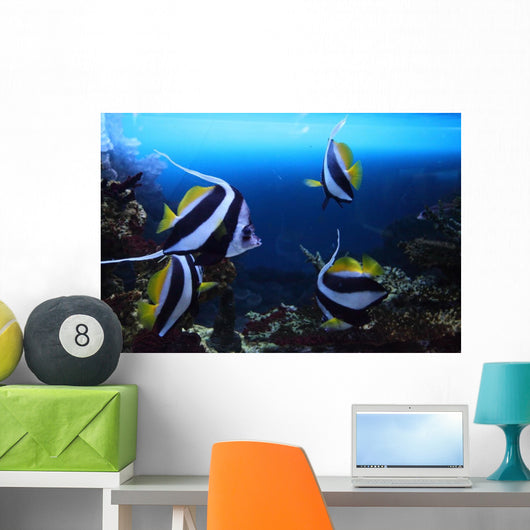 Group Fishes