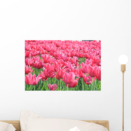 Tulipany Wall Mural