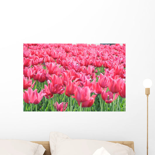 Tulipany Wall Mural