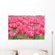 Tulipany Wall Mural