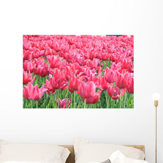 Tulipany Wall Mural