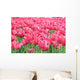 Tulipany Wall Mural