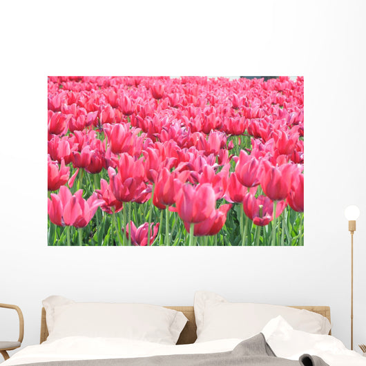 Tulipany Wall Mural