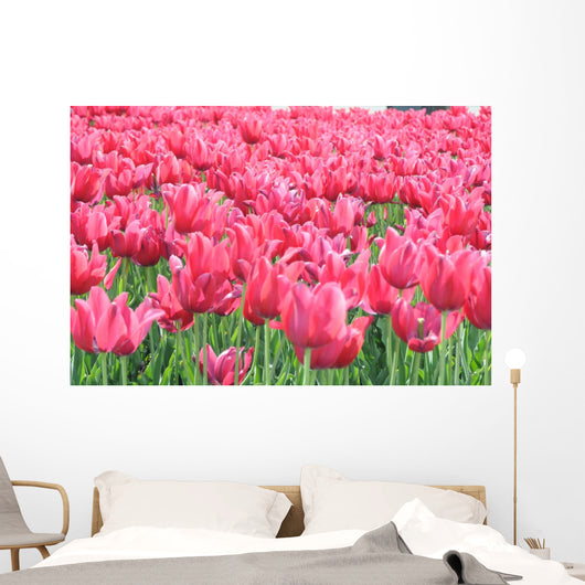 Tulipany Wall Mural