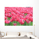 Tulipany Wall Mural