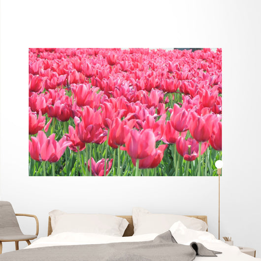 Tulipany Wall Mural