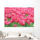 Tulipany Wall Mural