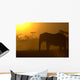 African Elephant at Sunrise Wall Mural
