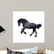 Black Friesian Stallion Gallop