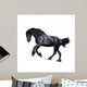 Black Friesian Stallion Gallop
