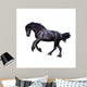 Black Friesian Stallion Gallop