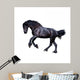Black Friesian Stallion Gallop