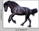 Black Friesian Stallion Gallop