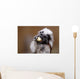 Cotton top tamarin with apple pieces Wall Mural