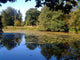 Lake Weston Park near Wall Decal