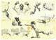 Collection Different Situations from