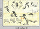 Collection Different Situations from
