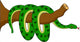 Funny Snake Cartoon Wall Decal