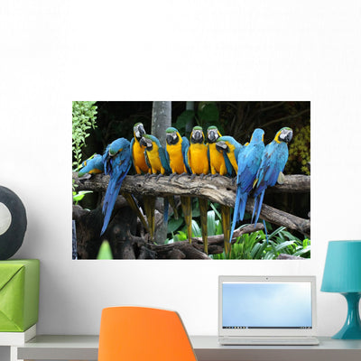 Macaw Tree shown on a wall