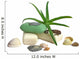 Soap with Aloe Vera