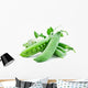 Pods Green Peas with