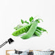 Pods Green Peas with