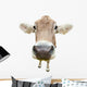 Funny Cow Head Isolated on White Background Wall Decal