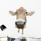 Funny Cow Head Isolated on White Background Wall Decal