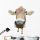 Funny Cow Head Isolated on White Background Wall Decal
