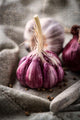 Garlic and Onion Image