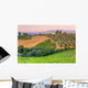 Landscape Tuscany Evening Sun
