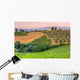 Landscape Tuscany Evening Sun