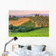 Landscape Tuscany Evening Sun