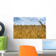 Field of wheat Wall Mural