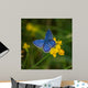 Blue Butterfly Wall Mural