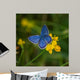 Blue Butterfly Wall Mural