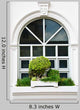 White Window with Bush