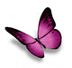 Violet Butterfly White Wall Decal