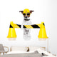 Under Construction Dog