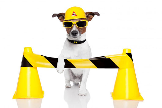 Under Construction Dog