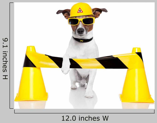 Under Construction Dog