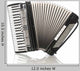 Black Accordion Black Accordion
