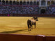 Espagne_arÃ¨ne de taureaux Wall Mural