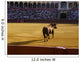 Espagne_arÃ¨ne de taureaux Wall Mural