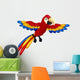 Funny Macaw Bird